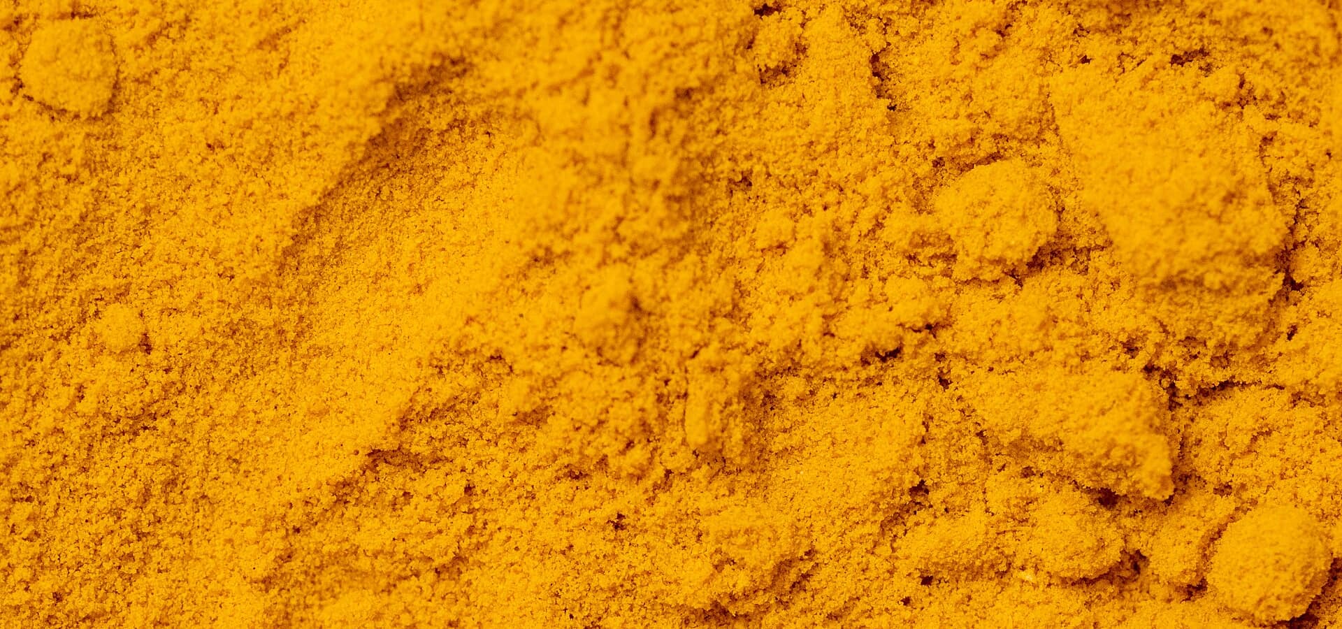 Ground turmeric powder, close up