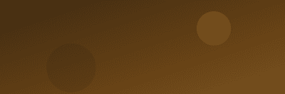 Aruna Spices logo