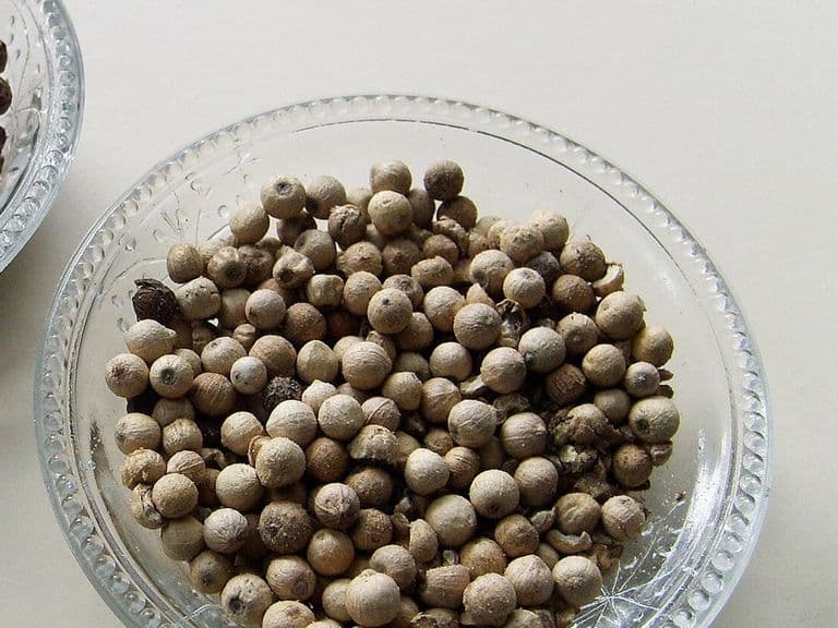 White peppercorns in a glass bowl